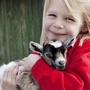 Longdown Activity Farm