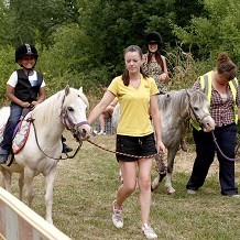 Lower Drayton Farm