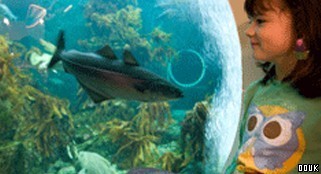 Macduff Marine Aquarium