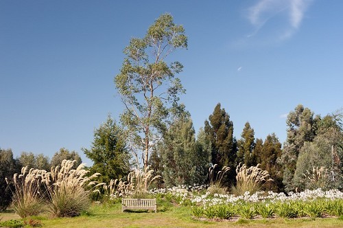 Marks Hall Gardens and Arboretum