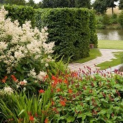 Marks Hall Gardens and Arboretum