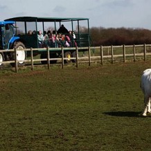 Marsh Farm Animal Adventure Park