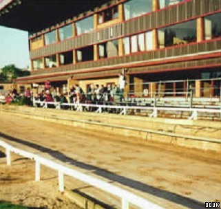 Meadow Court Stadium