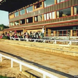 Meadow Court Stadium