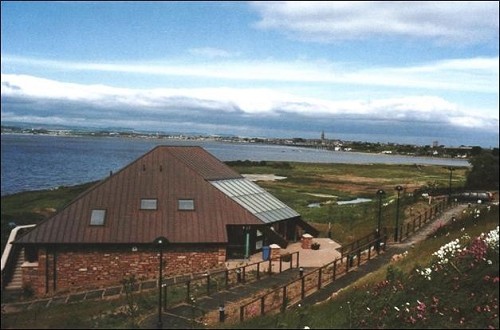 Montrose Basin © Scottish Wildlife Trust. 