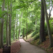 Mother Shipton's Cave