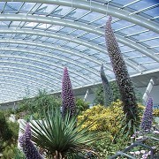 National Botanic Garden of Wales