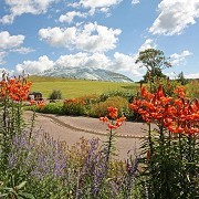 National Botanic Garden of Wales