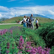 National Botanic Garden of Wales