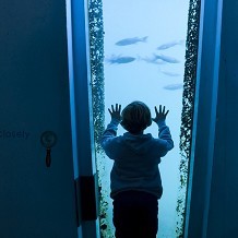 National Maritime Museum Cornwall