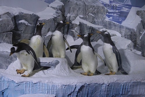 National Sea Life Centre - Birmingham