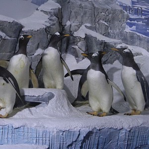 National Sea Life Centre - Birmingham