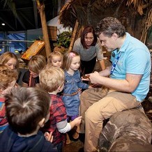 National Sea Life Centre - Birmingham