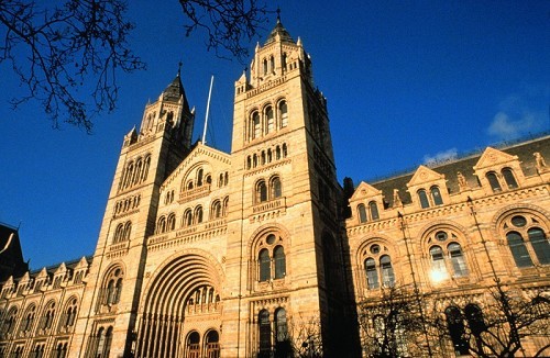 Natural History Museum - © Trustees of the Natural History Museum