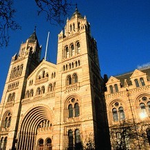 Natural History Museum - © Trustees of the Natural History Museum