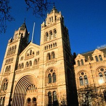 Natural History Museum - &copy; Trustees of the Natural History Museum