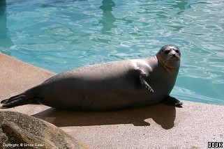 Natureland Seal Sanctuary