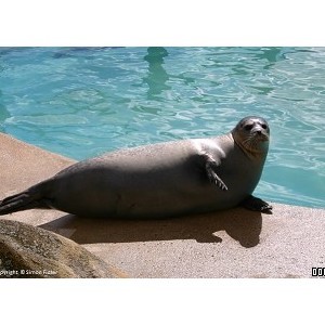 Natureland Seal Sanctuary