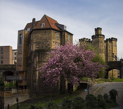 Newcastle Castle