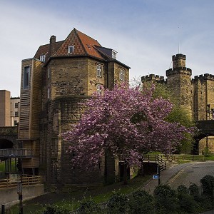 Newcastle Castle