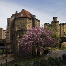Newcastle Castle