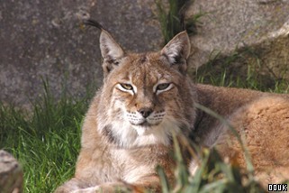Newquay Zoo