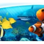 Oceanarium Bournemouth