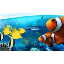 Oceanarium Bournemouth