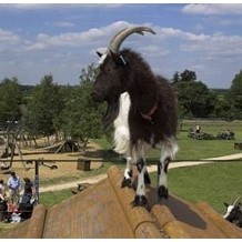 Odds Farm Park