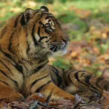 Paignton Zoo - &copy; Ray Wiltshire