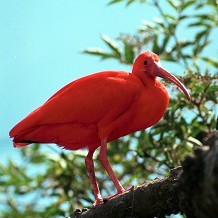 Paignton Zoo