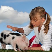 Pennywell Farm