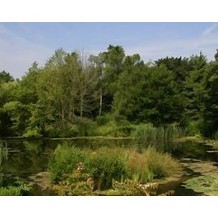 Pensthorpe