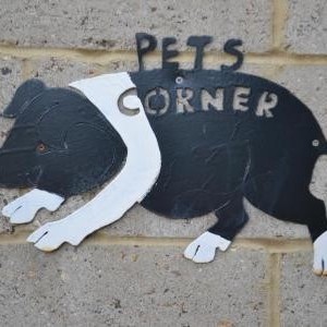 Pets' Corner