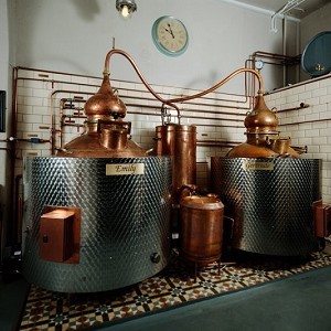 Pickering's Gin Tours