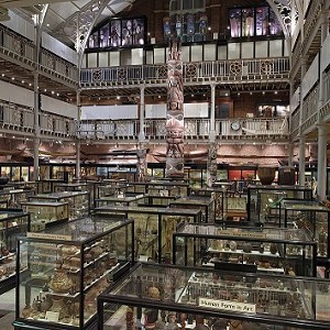 Pitt Rivers Museum