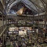 Pitt Rivers Museum