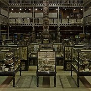 Pitt Rivers Museum