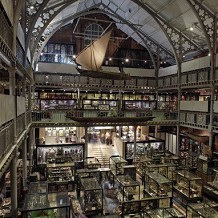 Pitt Rivers Museum