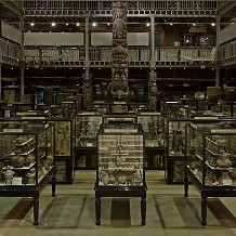 Pitt Rivers Museum