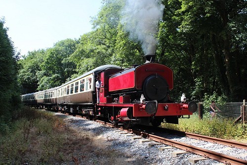 Plym Valley Railway