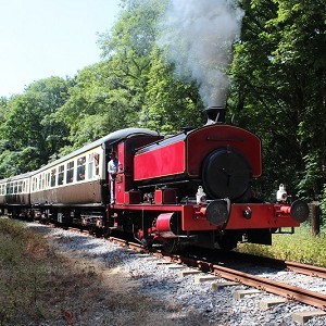 Plym Valley Railway