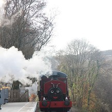 Plym Valley Railway