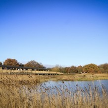 Potteric Carr Nature Reserve