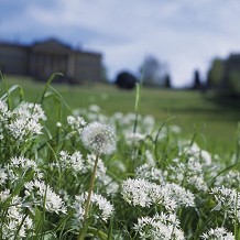 &copy; National trust