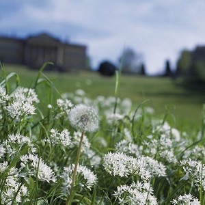 Prior Park Landscape Garden