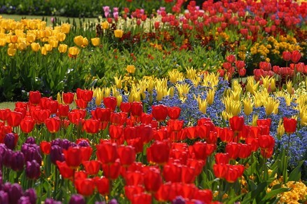 Regent's Park