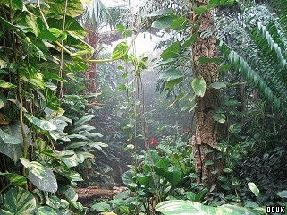 Roundhay Park and Tropical World