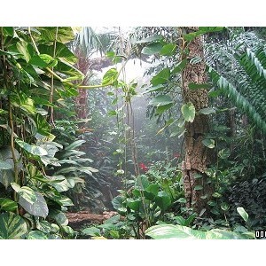 Roundhay Park and Tropical World