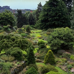 Royal Botanic Garden